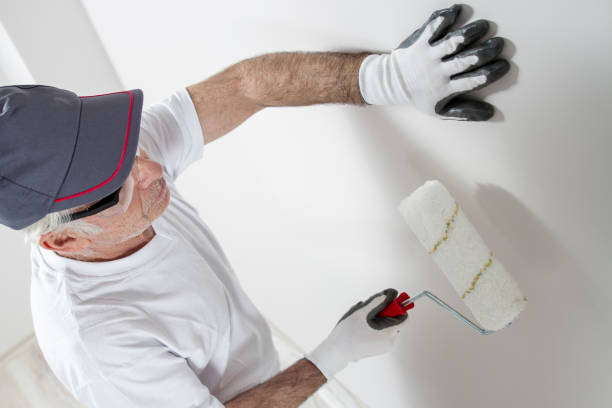 Best Drywall Removal and Disposal  in New Madrid, MO